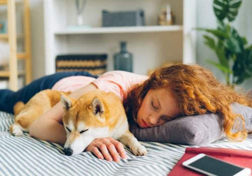 De perfecte slaapervaring creëren. Tips voor het kiezen van een boxspring!