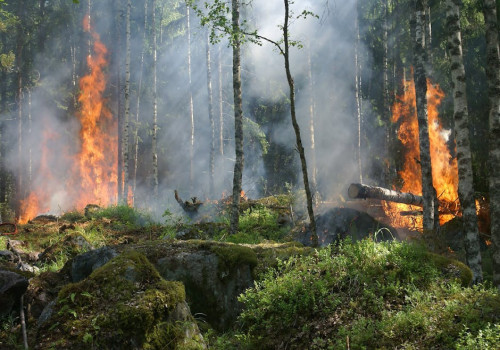 Hoe werken de P2000 alarm meldingen?